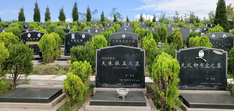 陵園環境